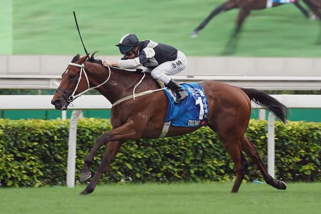 戴眼罩夺魁家族曾养香港马王凯发K8国际娱乐王经纬赛驹(图3)